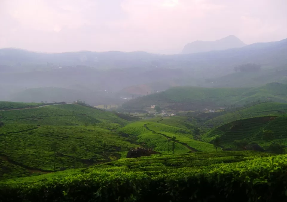 Photo of Munnar, Munnar, Kerala, India by Rajat Chakraborty