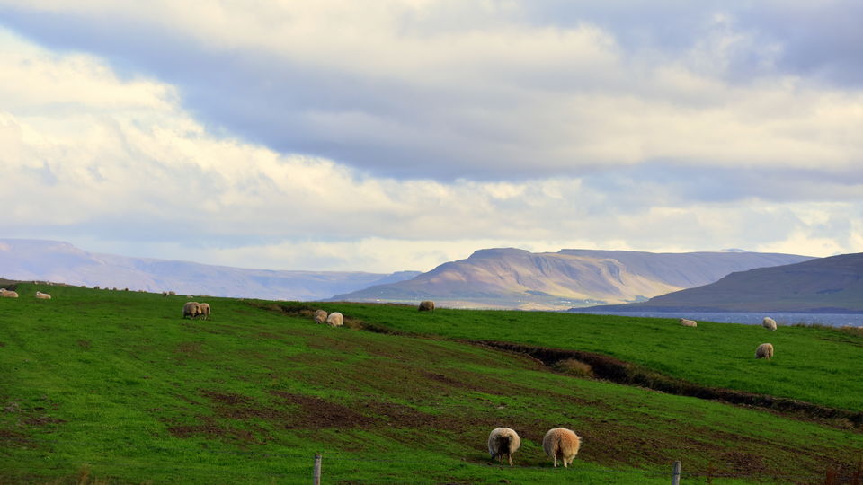 Photo of The Iceland Experience: A Journey, Not An Itinerary (Autumn 2018) 7/187 by Deep Vam Dev