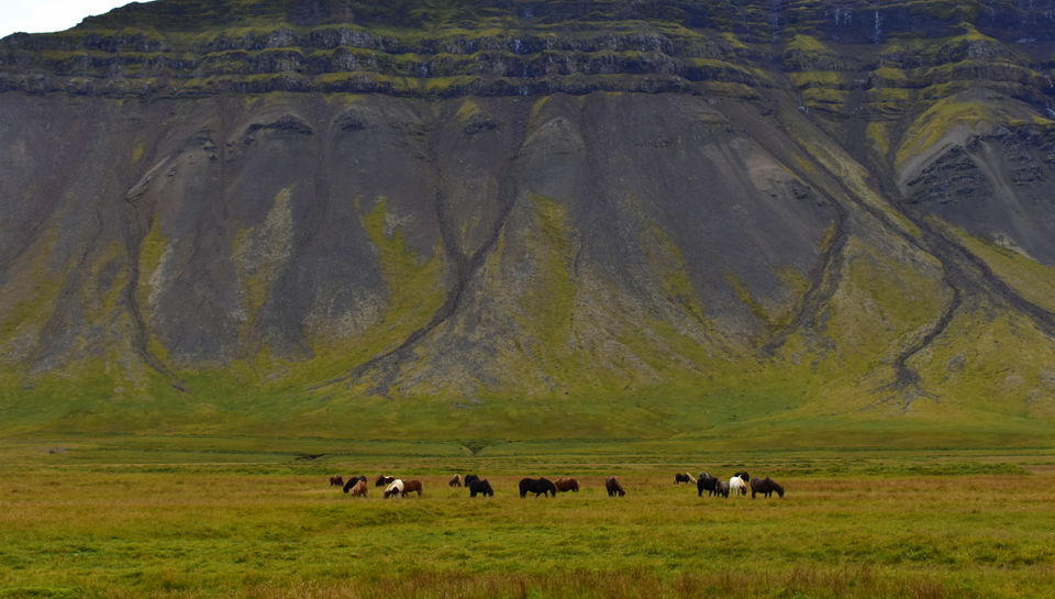 Photo of The Iceland Experience: A Journey, Not An Itinerary (Autumn 2018) 37/187 by Deep Vam Dev