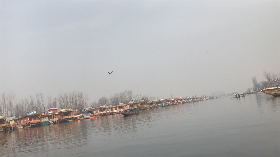 Photo of Jammu and Kashmir by Akanksha Pandey