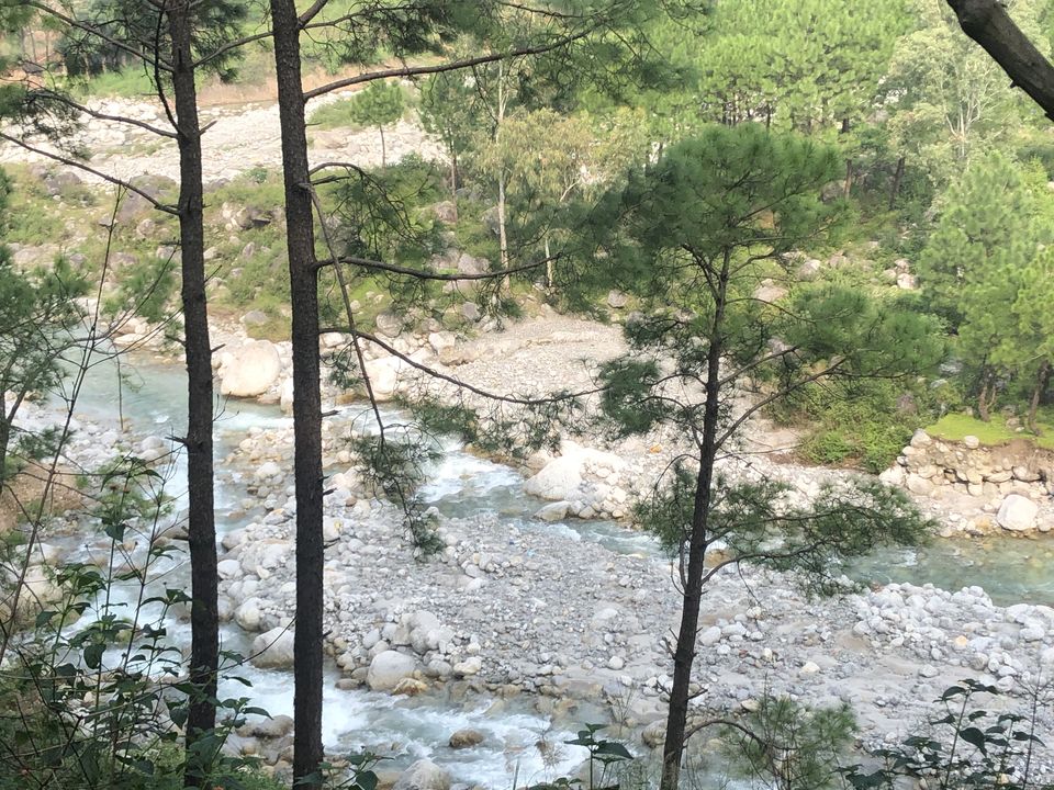 Photo of Palampur- The Much Awaited Trip 2/19 by Archana Pandey