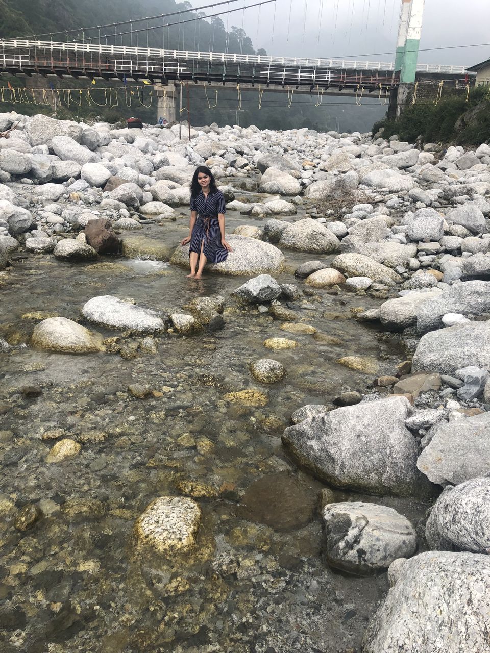 Photo of Palampur- The Much Awaited Trip 3/19 by Archana Pandey
