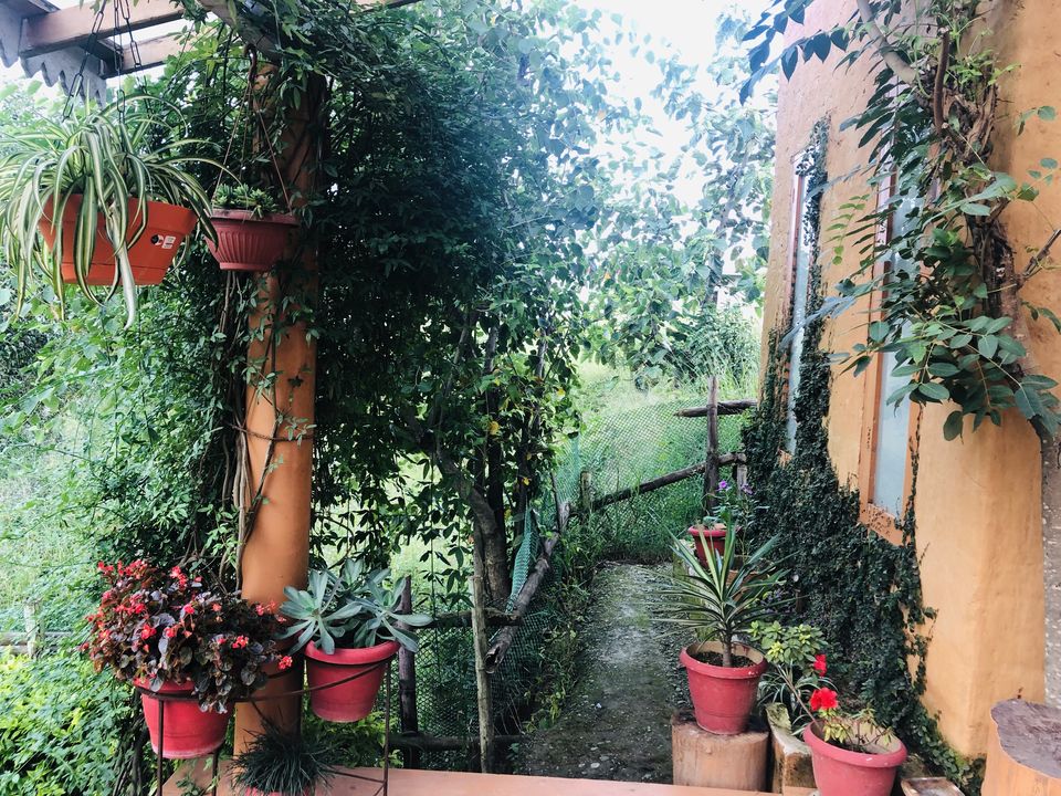 Photo of Palampur- The Much Awaited Trip 14/19 by Archana Pandey