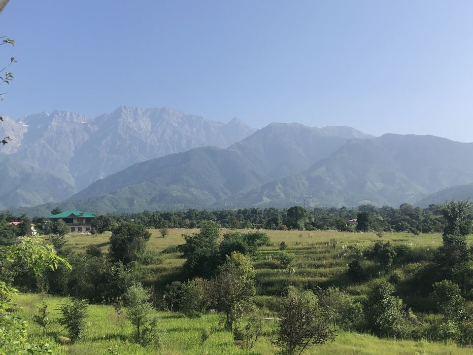 Photo of Palampur- The Much Awaited Trip 16/19 by Archana Pandey