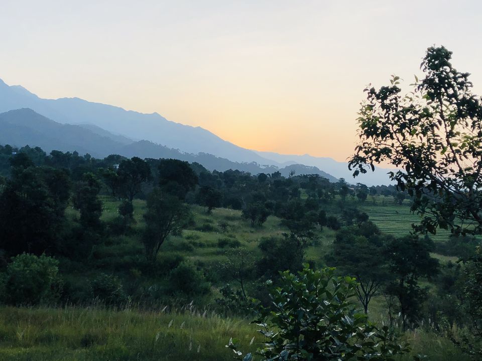 Photo of Palampur- The Much Awaited Trip 17/19 by Archana Pandey