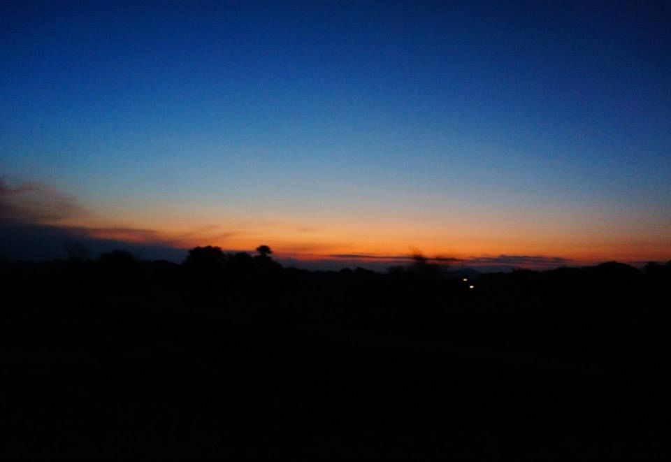 Photo of Journey Through Nature Trails in Ooty, Mysore, Coo 3/33 by Sanket Thodge
