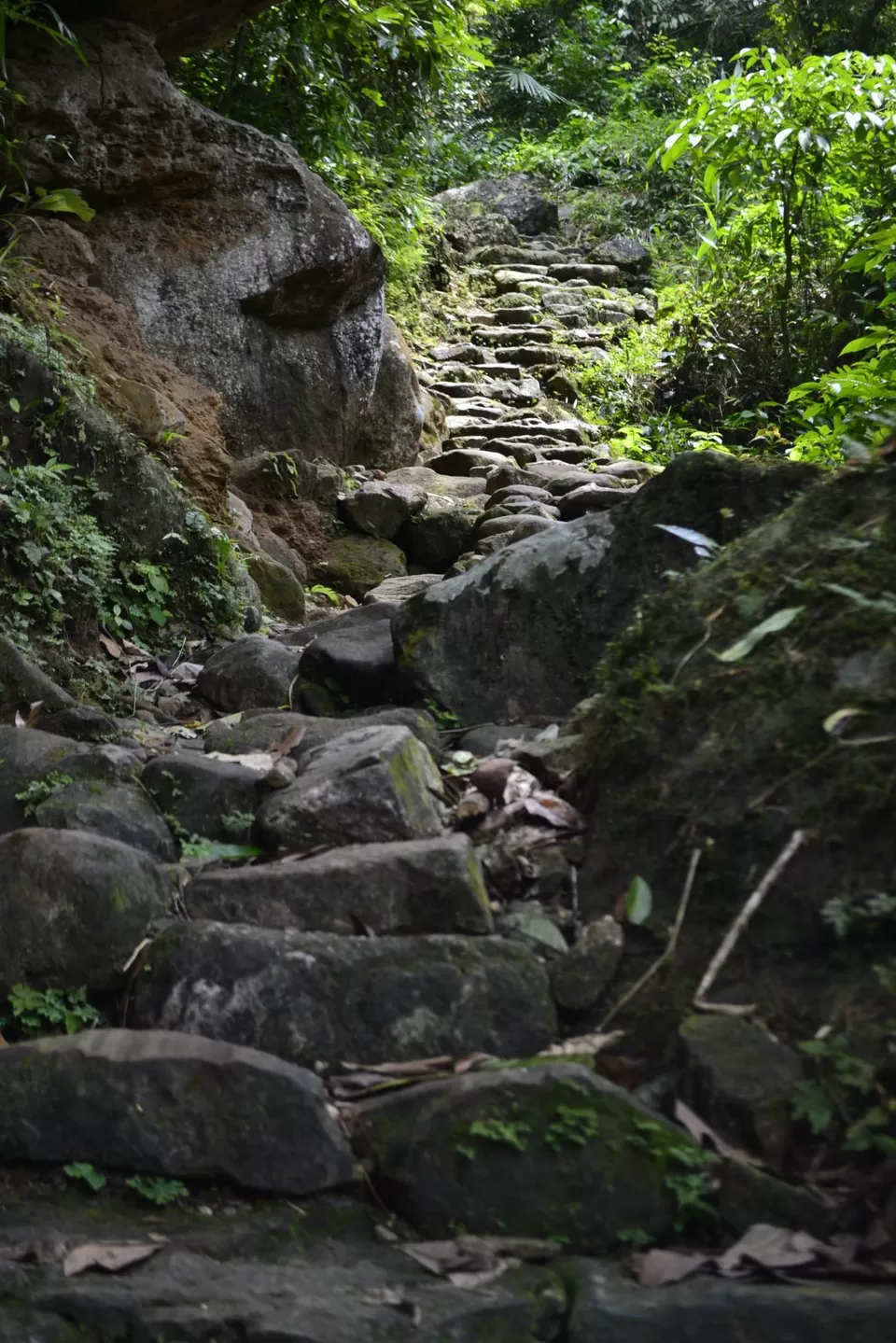 Photo of Cherrapunjee ( Sohra) by Reema Sahu