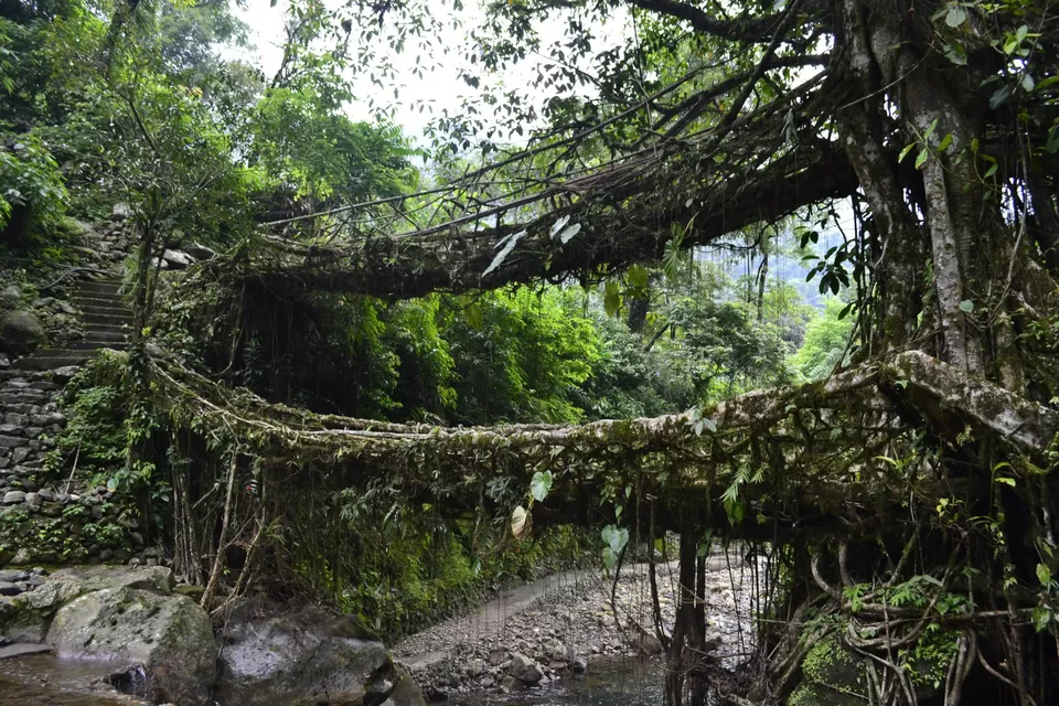 Photo of Cherrapunjee ( Sohra) by Reema Sahu