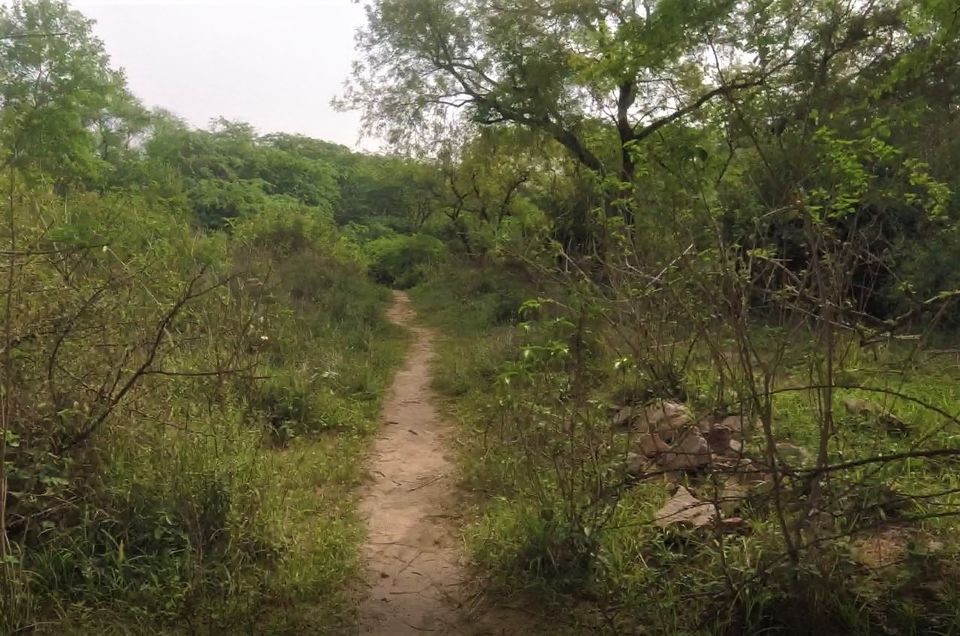Photo of Sanjay Van, New Delhi, Delhi by Rishab Nag