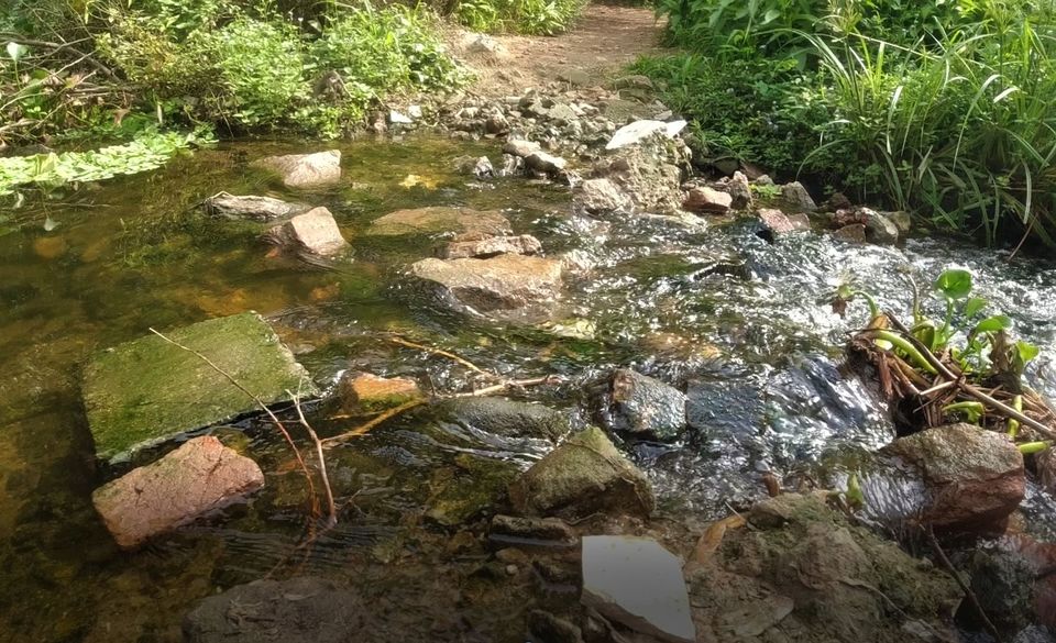 Photo of Sanjay Van, New Delhi, Delhi by Rishab Nag