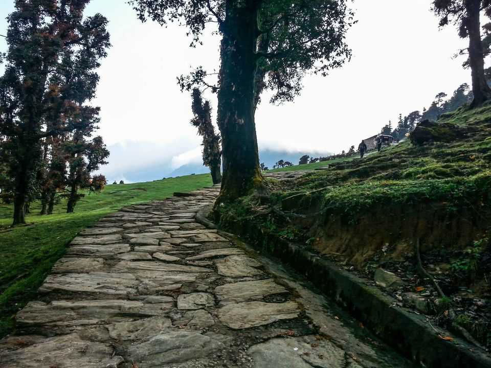 Photo of Chopta taught me how to NOT lose the edge 2/46 by Nikhil Verma