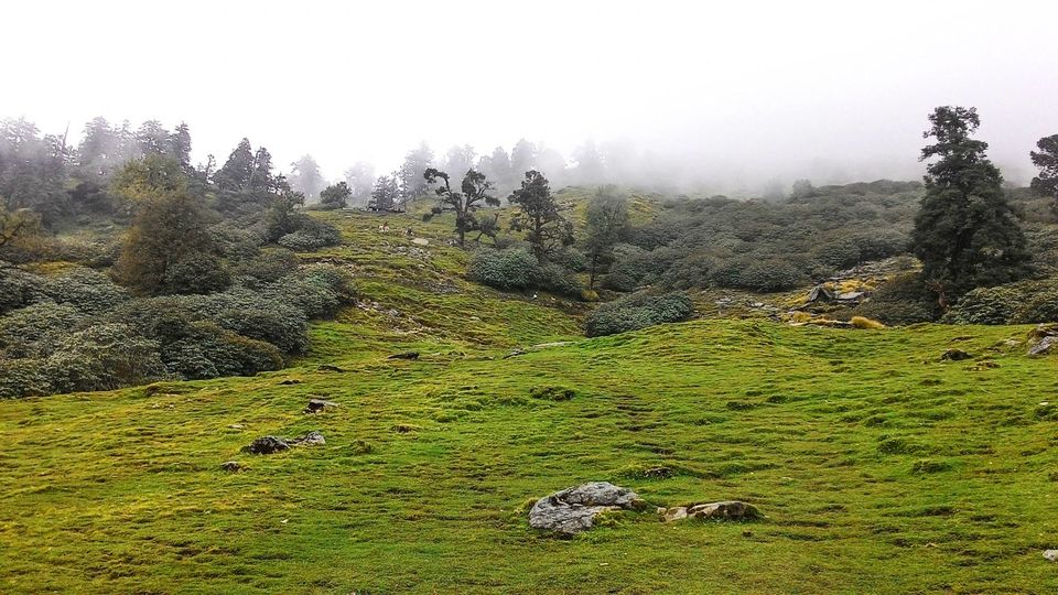 Photo of Chopta taught me how to NOT lose the edge 45/46 by Nikhil Verma