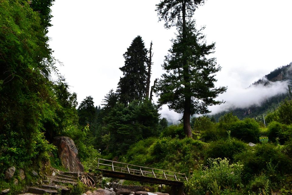 Photo of Soulside Journey by Nikhil Verma