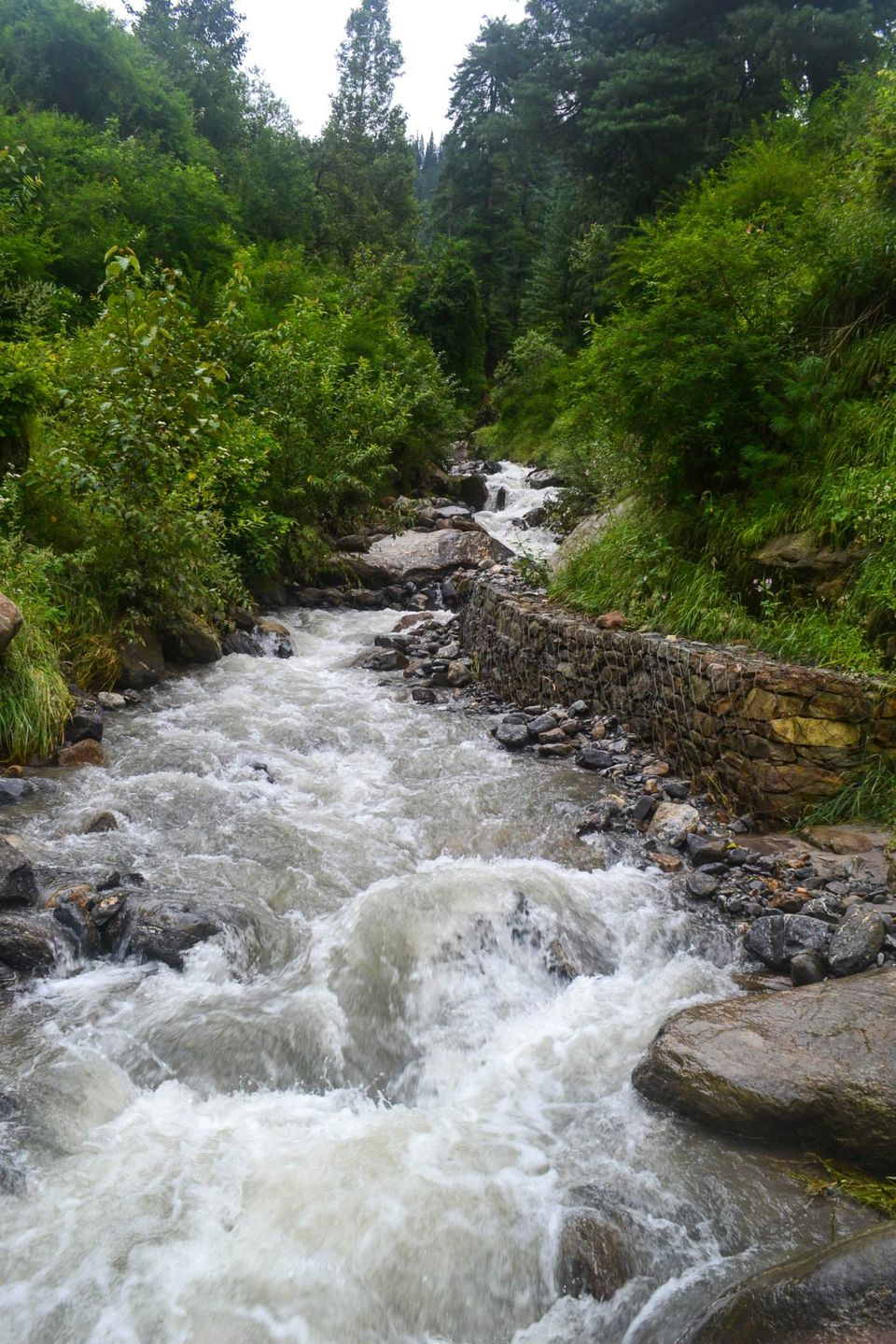 Photo of Soulside Journey by Nikhil Verma