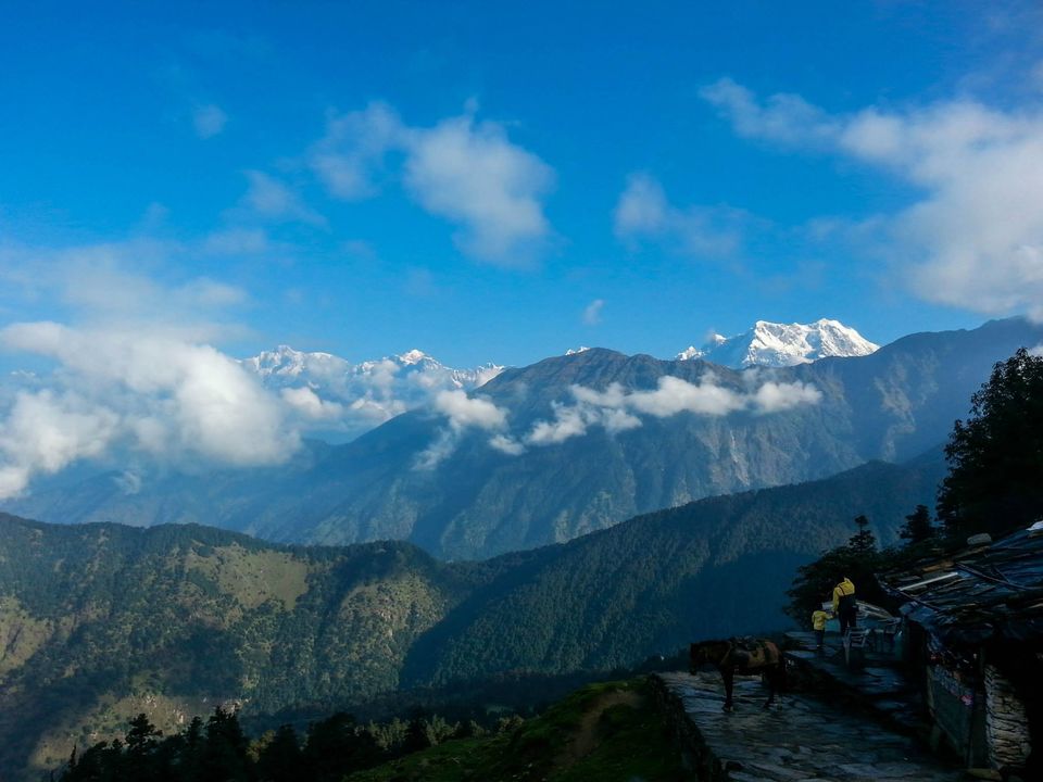 Photo of Chopta taught me how to NOT lose the edge 8/46 by Nikhil Verma