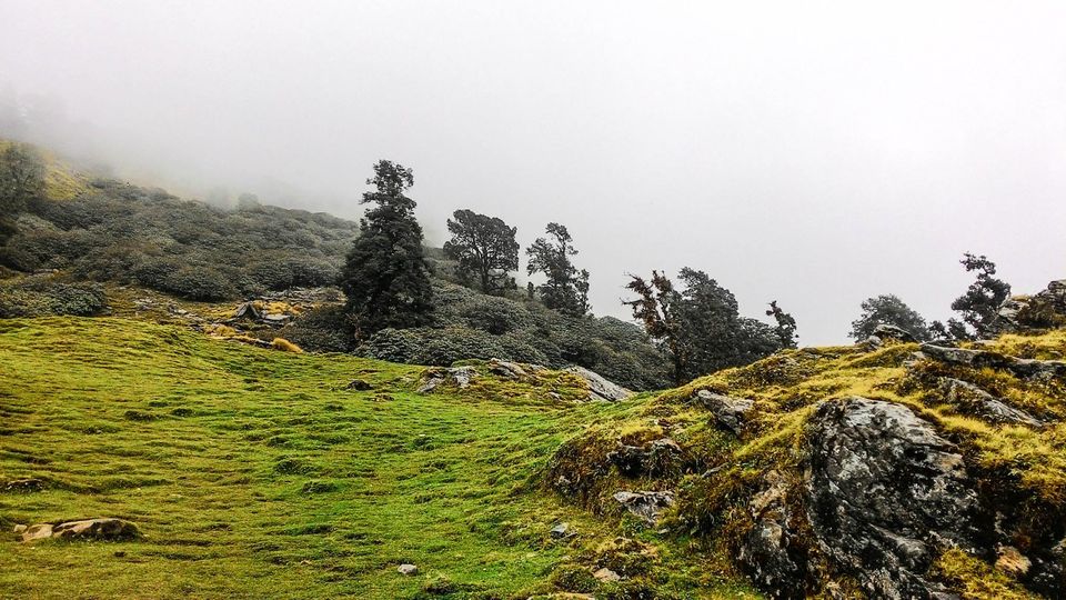 Photo of Chopta taught me how to NOT lose the edge 46/46 by Nikhil Verma