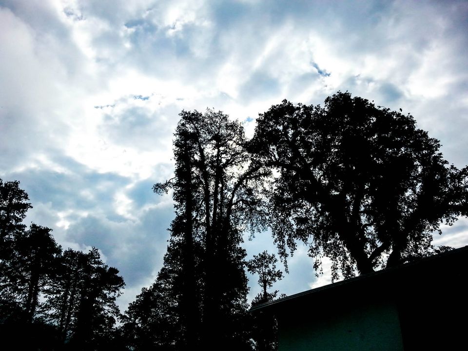 Photo of Chopta taught me how to NOT lose the edge 1/46 by Nikhil Verma
