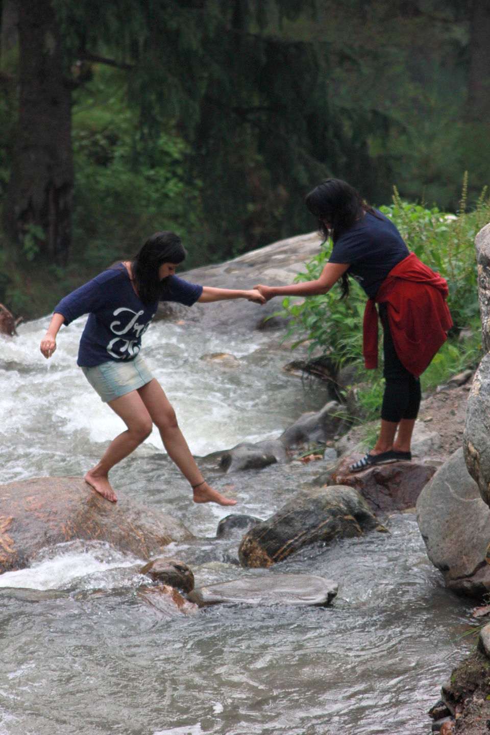 Photo of Parvati Valley and the Cream ReLoveution! 42/54 by Arjun Sehrawat