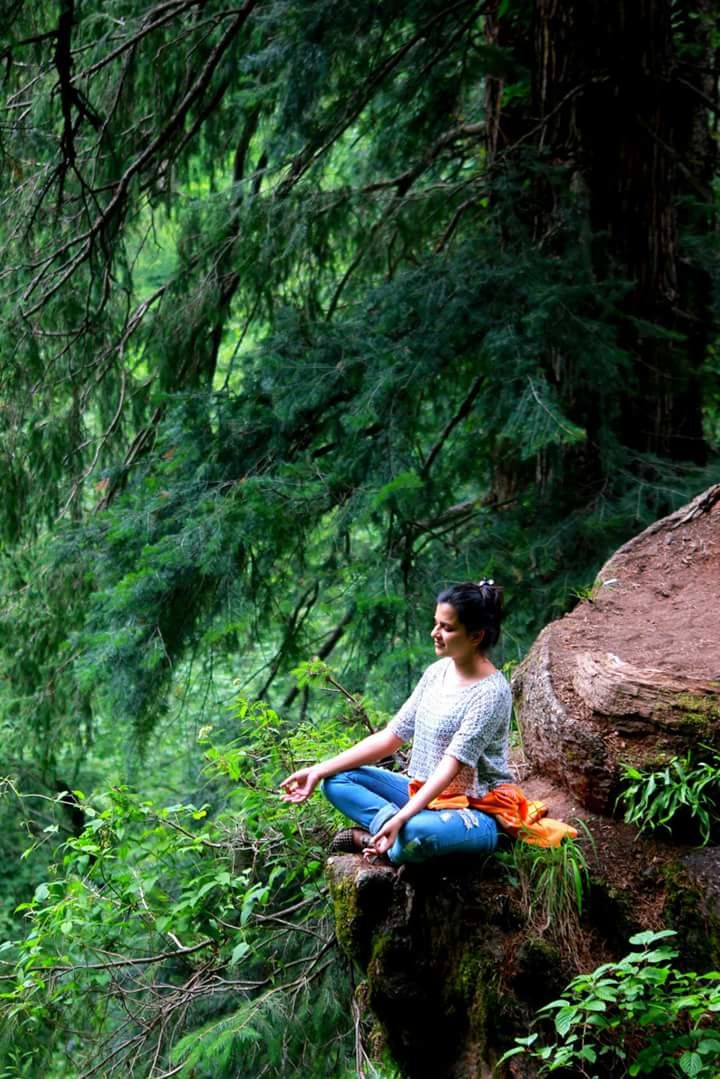 Photo of Parvati Valley and the Cream ReLoveution! 49/54 by Arjun Sehrawat