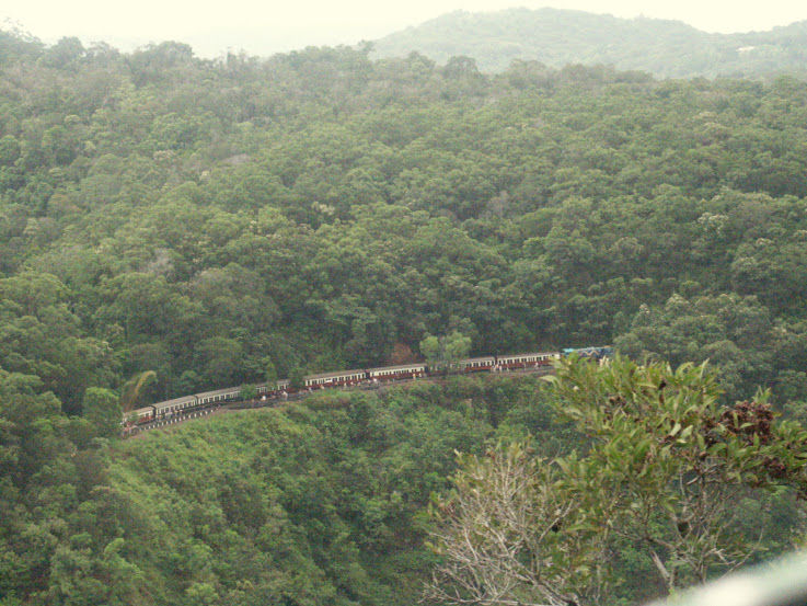 Photo of Rainforest Skyrail Mid-Station, Kennedy Highway, Cairns, Queensland, Australia by Ryan And Ron