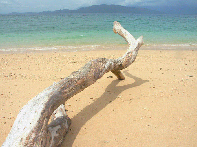 Photo of Short Retreat On The Coast: Cairns & Hobart 6/6 by Ryan And Ron