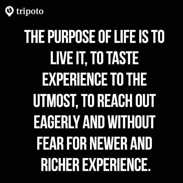 Photo of The Secret of Happiness: Collect Experience Not Things 1/11 by Nikita Gupta