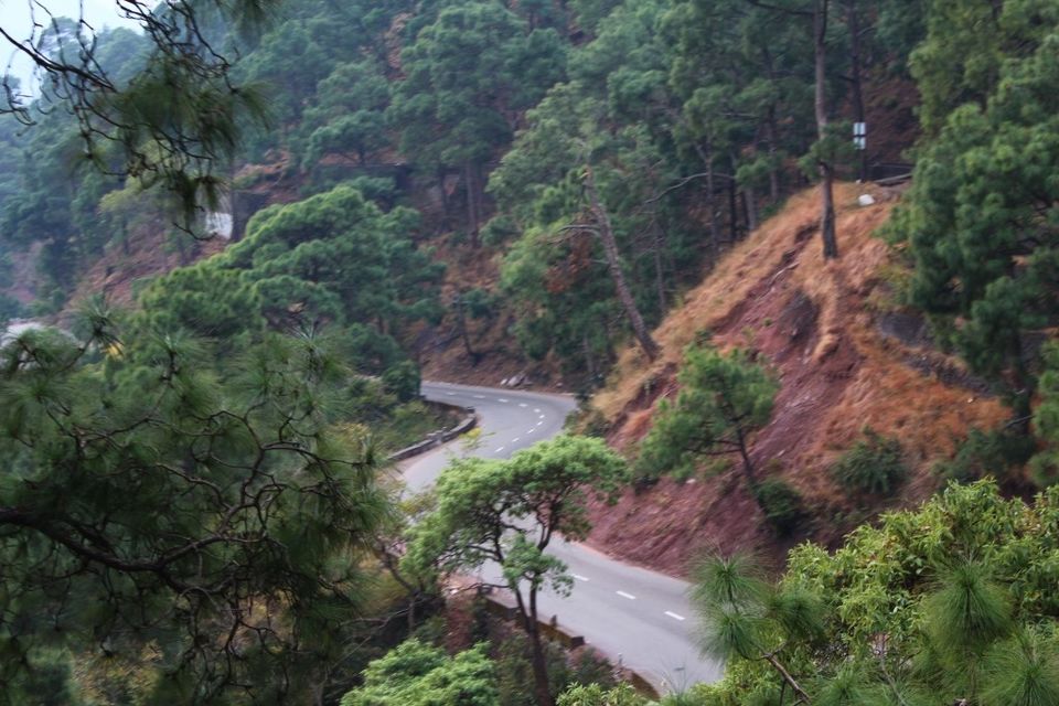 Photo of Climbing To The Peak Of Shimla: Jakhu Peak by Nikita Gupta