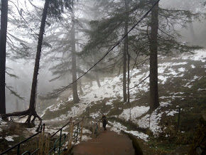 Photo of Climbing To The Peak Of Shimla: Jakhu Peak 19/25 by Nikita Gupta