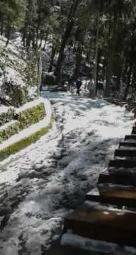 Photo of Climbing To The Peak Of Shimla: Jakhu Peak 20/25 by Nikita Gupta