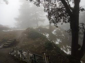 Photo of Climbing To The Peak Of Shimla: Jakhu Peak 2/25 by Nikita Gupta