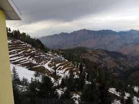 Photo of Climbing To The Peak Of Shimla: Jakhu Peak 4/25 by Nikita Gupta