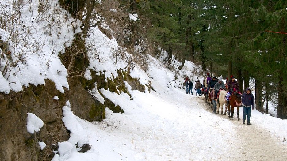 Photo of Kufri: Paradise of Snow 3/38 by Nikita Gupta