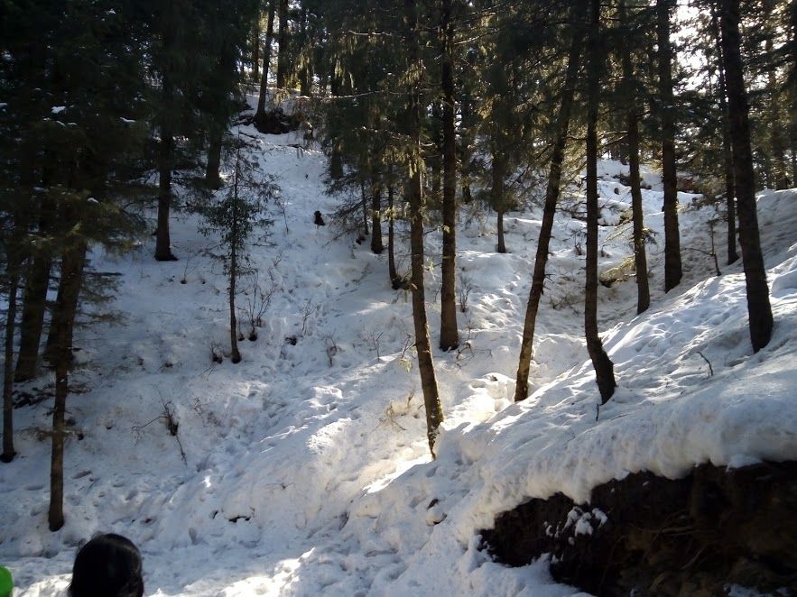 Photo of Kufri: Paradise of Snow 4/38 by Nikita Gupta