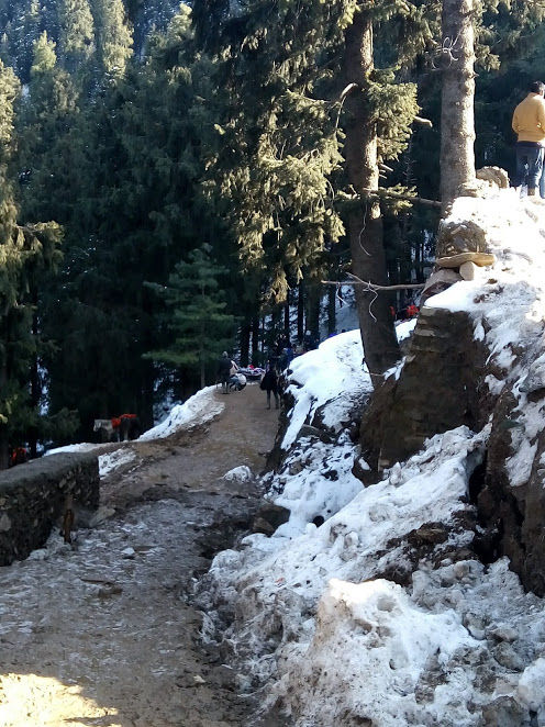 Photo of Kufri: Paradise of Snow 21/38 by Nikita Gupta