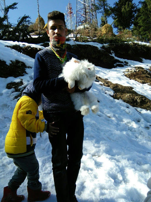 Photo of Kufri: Paradise of Snow 22/38 by Nikita Gupta