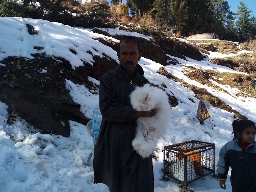 Photo of Kufri: Paradise of Snow 8/38 by Nikita Gupta