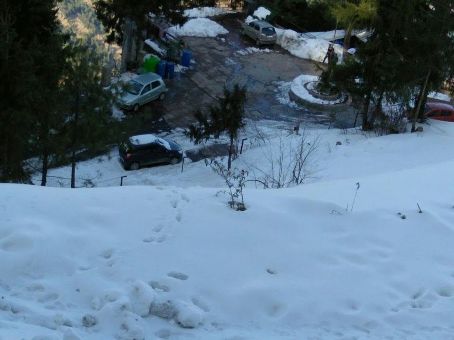 Photo of Kufri: Paradise of Snow 20/38 by Nikita Gupta