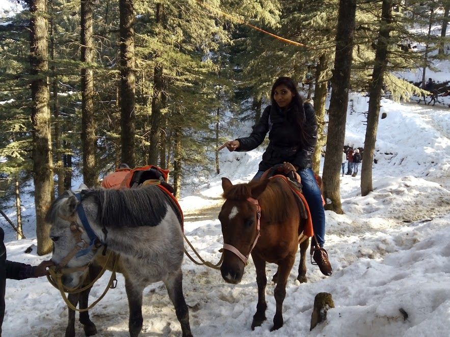 Photo of Kufri: Paradise of Snow 28/38 by Nikita Gupta