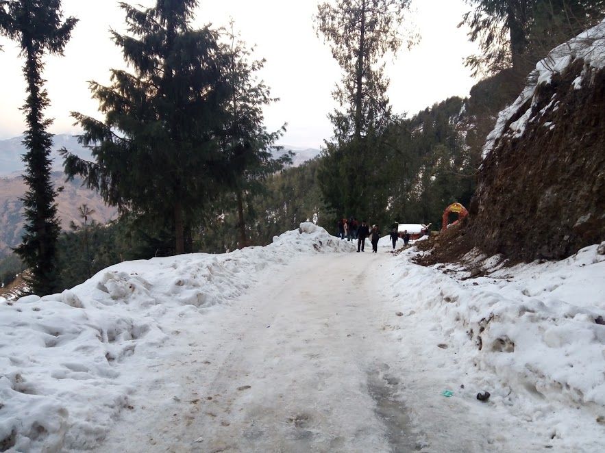 Photo of Kufri: Paradise of Snow 34/38 by Nikita Gupta