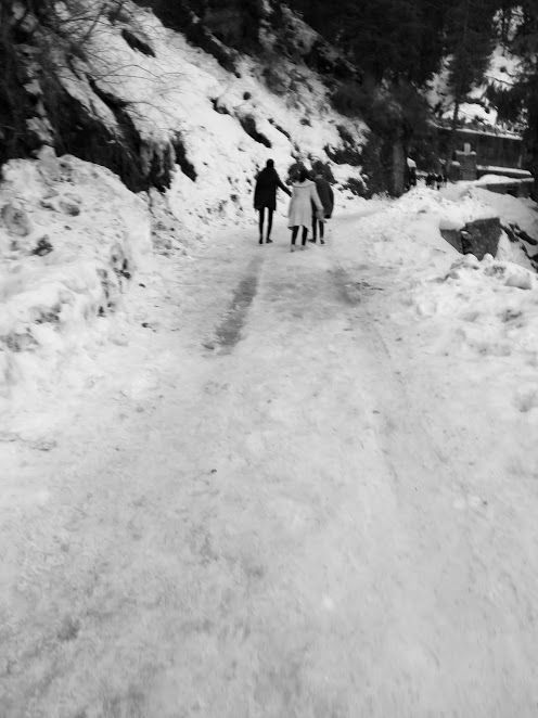 Photo of Kufri: Paradise of Snow 15/38 by Nikita Gupta