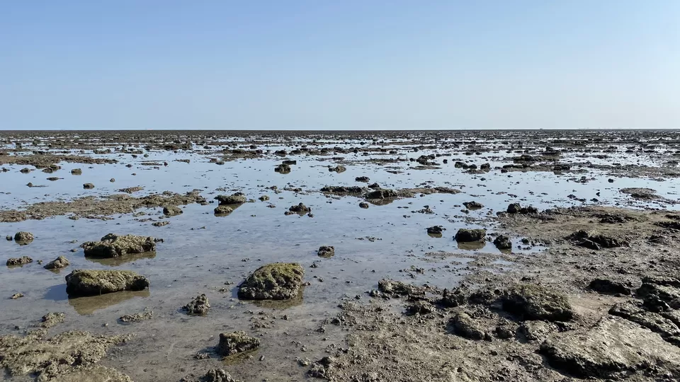 Photo of Narara - The Exposed Reef by D@₹¶a|\|