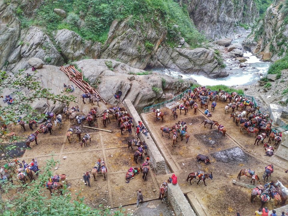 Photo of केदारनाथ - शिव की भूमि by D@₹¶a|\|