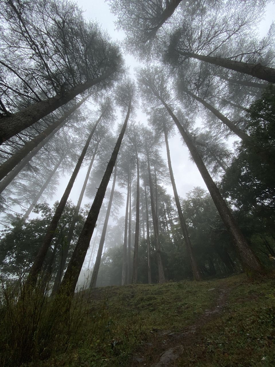 Photo of Mussoorie, Uttarakhand, India by Rajath simha