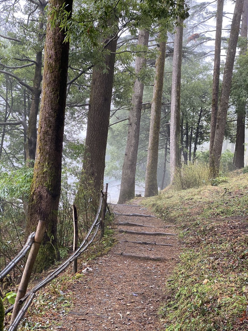 Photo of Mussoorie, Uttarakhand, India by Rajath simha
