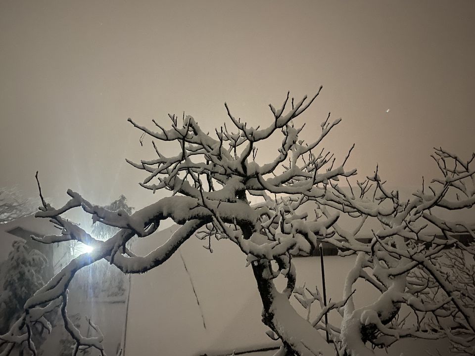 Photo of Mussoorie, Uttarakhand, India by Rajath simha