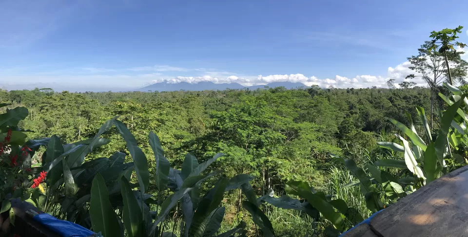 Photo of Luwak Coffee, Jalan Raya Mawang, Lodtunduh, Gianyar, Bali, Indonesia by sheetal jain