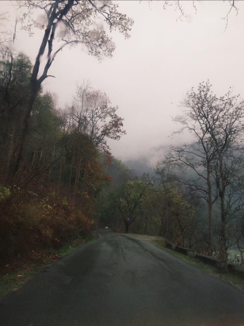 Photo of Visit to Darjeeling and Kolkata after Sikkim by Shobana