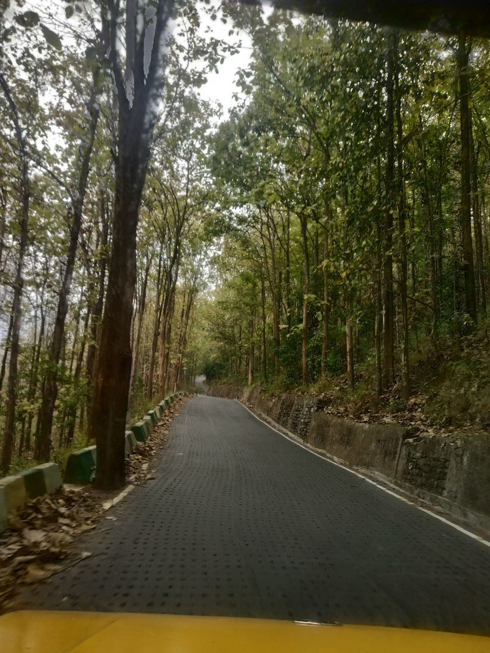 Photo of Visit to Darjeeling and Kolkata after Sikkim by Shobana