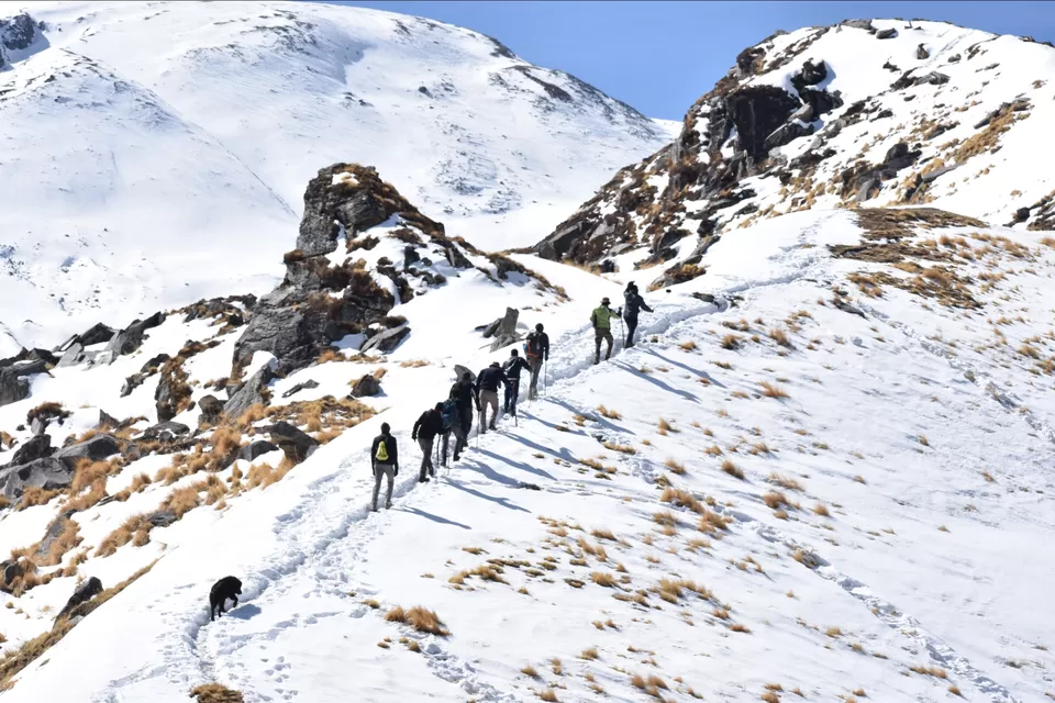 Photo of Kuari pass trek...Winter trails by Mayank Handa