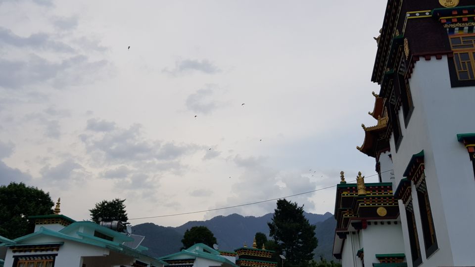 Photo of Bir was all about people. by Mayank Handa
